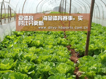 种植基地五