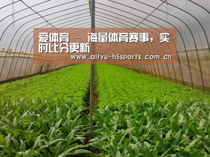 种植基地四