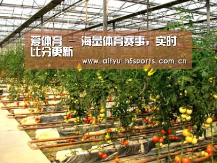 种植基地二