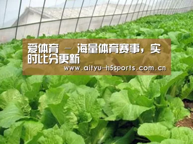种植基地一