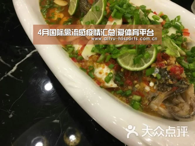 4月国际禽流感疫情汇总|爱体育平台(图3) 爱体育入口