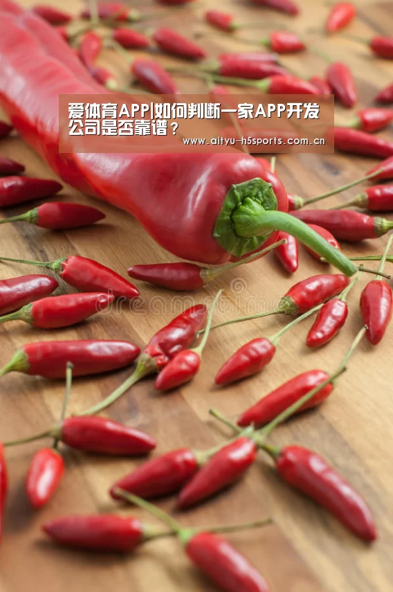 爱体育APP