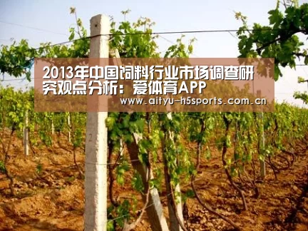 2013年中国饲料行业市场调查研究观点分析:爱体育APP(图2) 爱体育