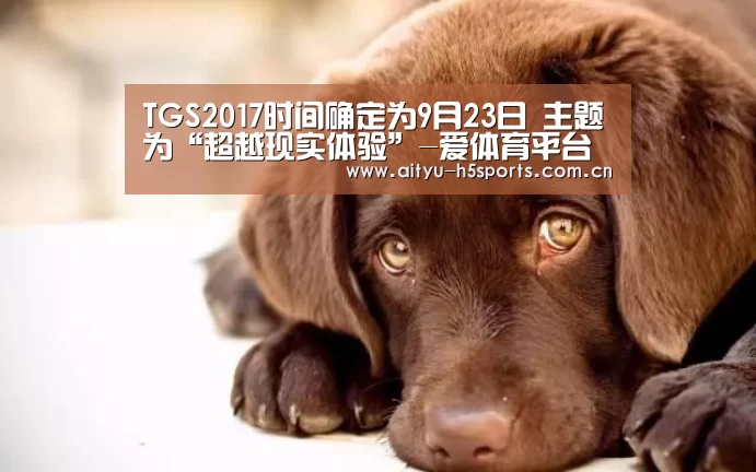爱体育APP