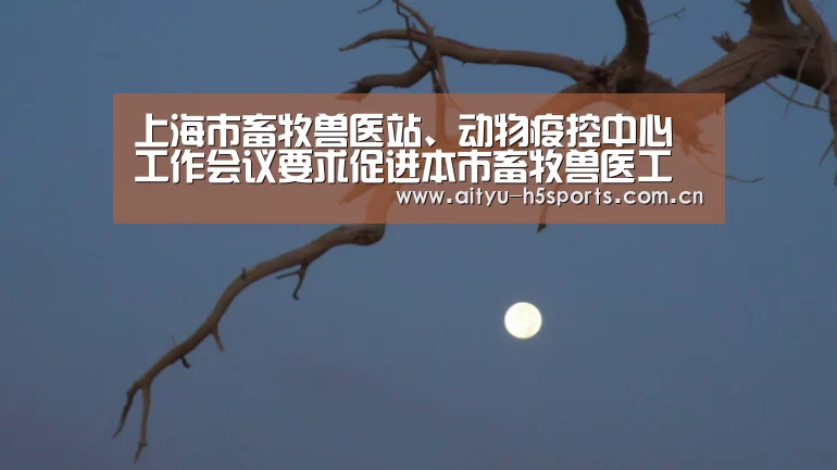 爱体育h5
