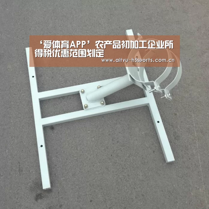 爱体育入口