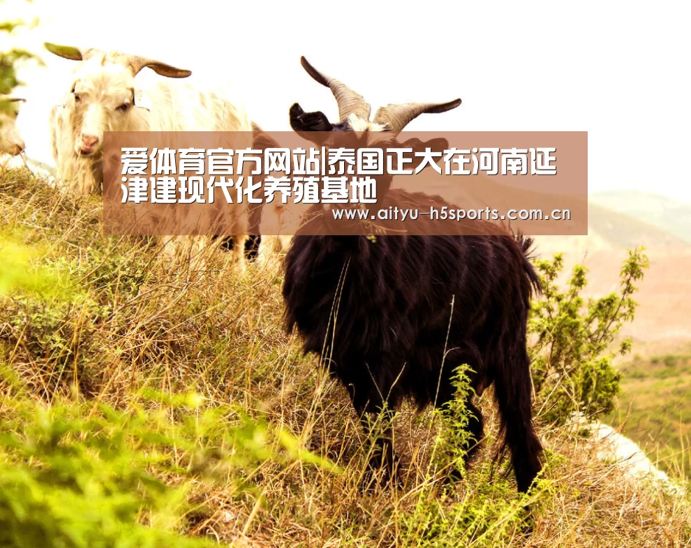 爱体育入口